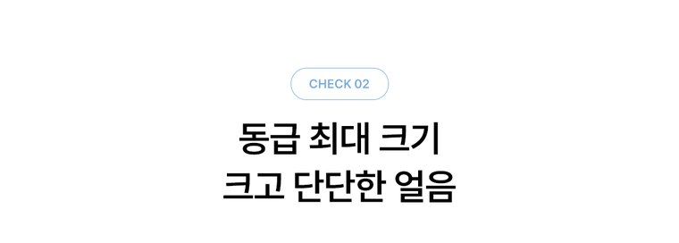 MEGA ICE 얼음정수기 mini (얼음냉온정) 상세 안내 11